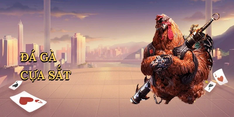 Đá gà cựa sắt