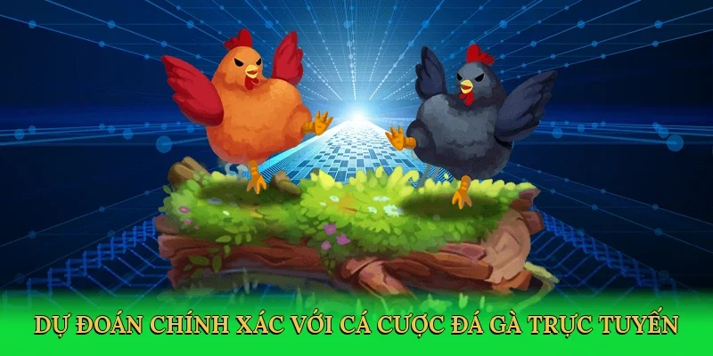 Dự đoán chính xác với chiến thuật cá cược đá gà trực tuyến
