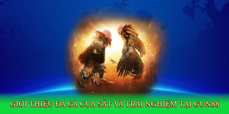Giới thiệu đá gà cựa sắt và trải nghiệm tại Gun88