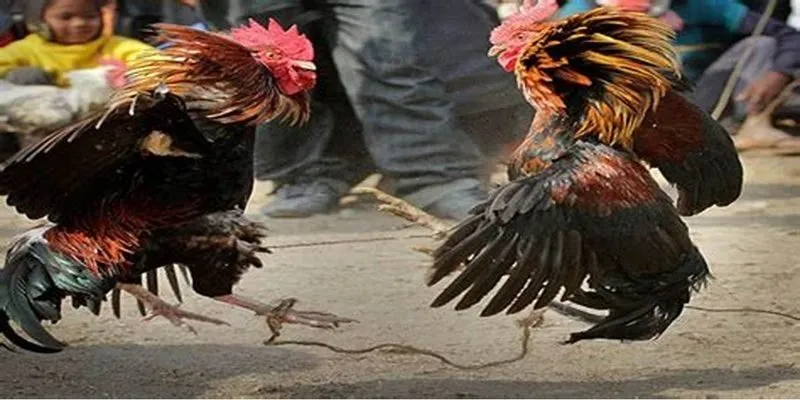 Ngân sách là nguồn sống