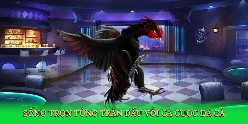 Sống trọn từng trận đấu với cá cược đá gà trực tuyến
