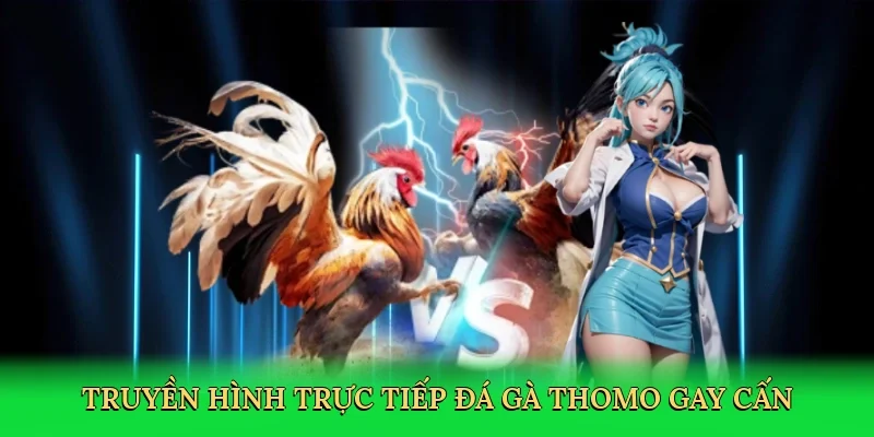 Truyền hình trực tiếp đá gà thomo gay cấn