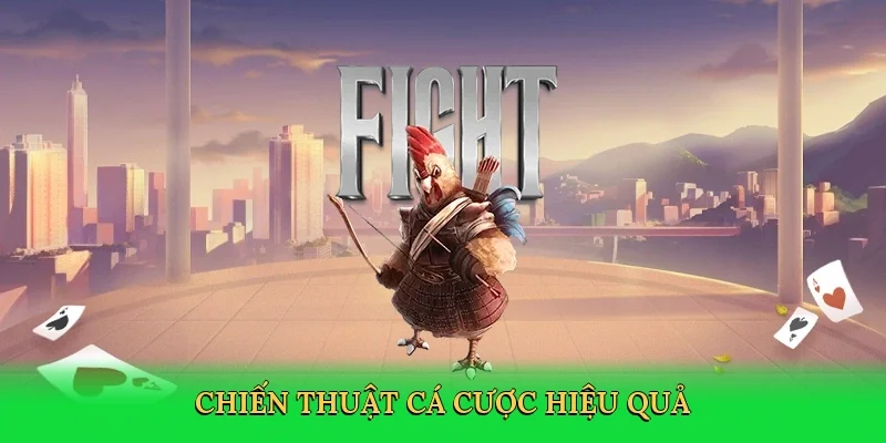 Chiến thuật cá cược hiệu quả