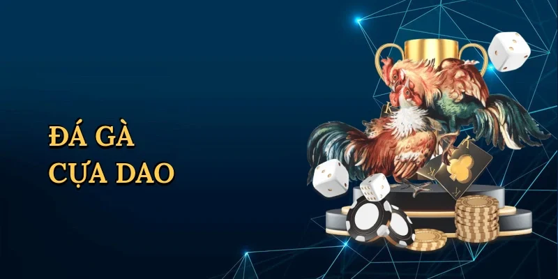 Đá gà cựa dao