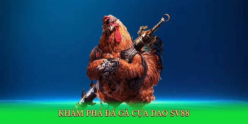 Khám phá đá gà cựa dao SV88