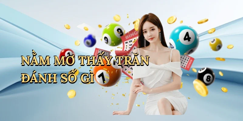 nằm mơ thấy trăn đánh số gì
